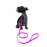 Waterproof Dog Collar